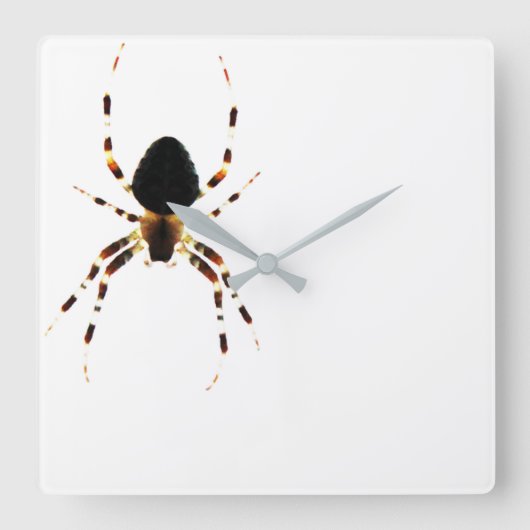 Spider - Wandklok (Voorkant)