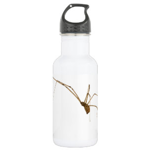 Spider Waterfles