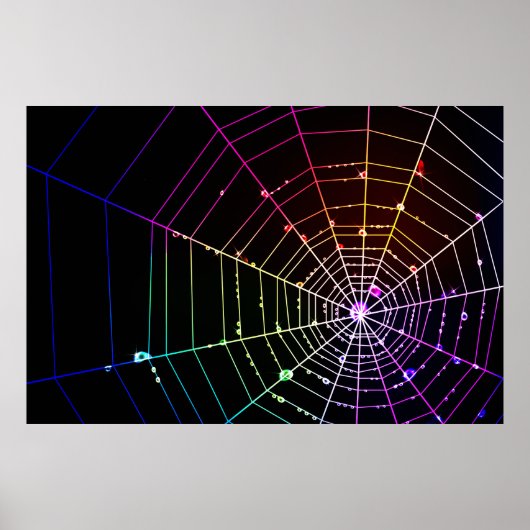 Spider Web 1 Afdrukken Poster (Voorkant)