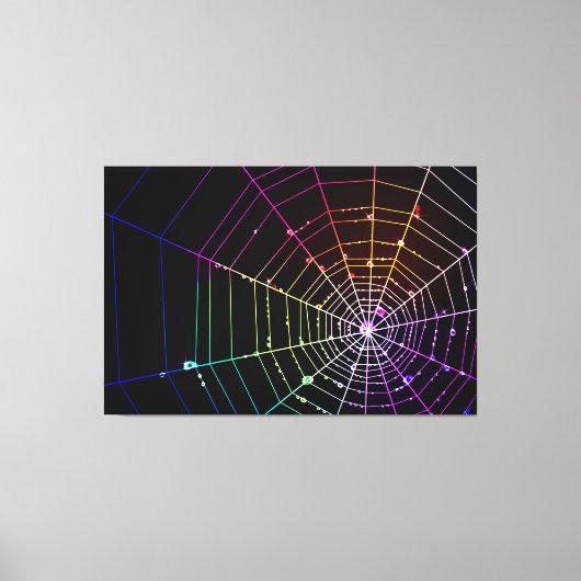 Spider Web 1 Wrapped Canvas (Voorkant)