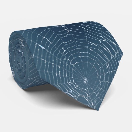 Spider web against the Blue Stropdas (Opgerold)