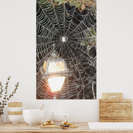 Spider Web at Night Photography Arachnology Poster (Keuken)