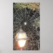 Spider Web at Night Photography Arachnology Poster (Voorkant)