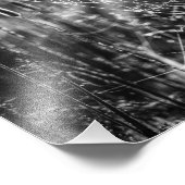 Spider Web Black en White Natuur Fine Art Foto Afdruk (Hoek)