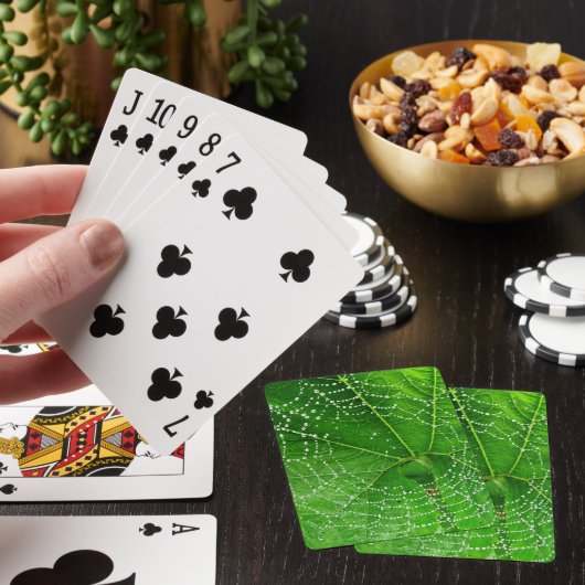 Spider Web Classic Paring Cards Pokerkaarten (Insitu)