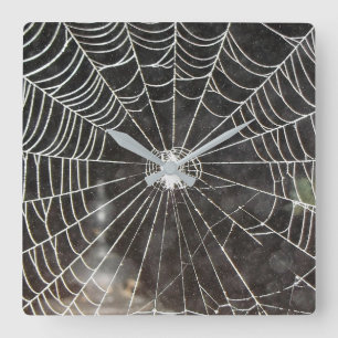 Spider Web Clock Arachnology Vierkante Klok