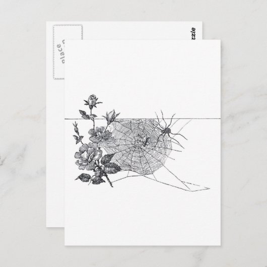 Spider Web en Roos Zwart Wit Briefkaart (Voorkant / Achterkant)