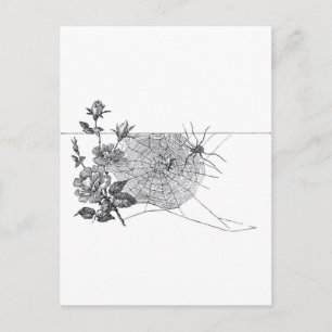 Spider Web en Roos Zwart Wit Briefkaart