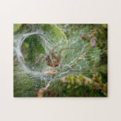 Spider Web Insect Wildlife Jigzaag Puzzle Legpuzzel (Horizontaal)