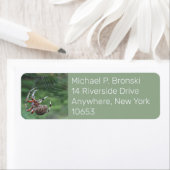 Spider web internet return address label (Insitu)