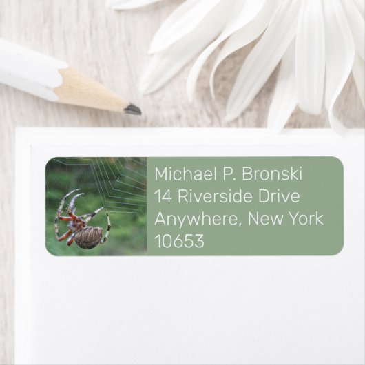 Spider web internet return address label (Insitu)