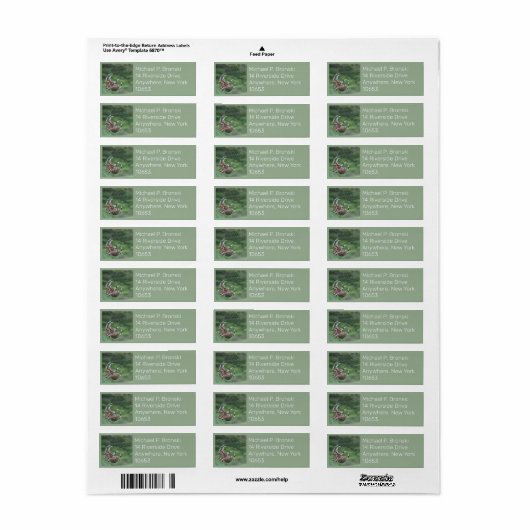 Spider web internet return address label (Full Sheet)
