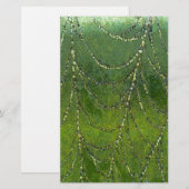 Spider Web met dew-druppels Abstracte kunst Briefpapier (Voorkant / Achterkant)