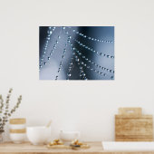 Spider Web met druppeltjes Poster (Keuken)