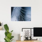 Spider Web met druppeltjes Poster (Thuiskantoor)