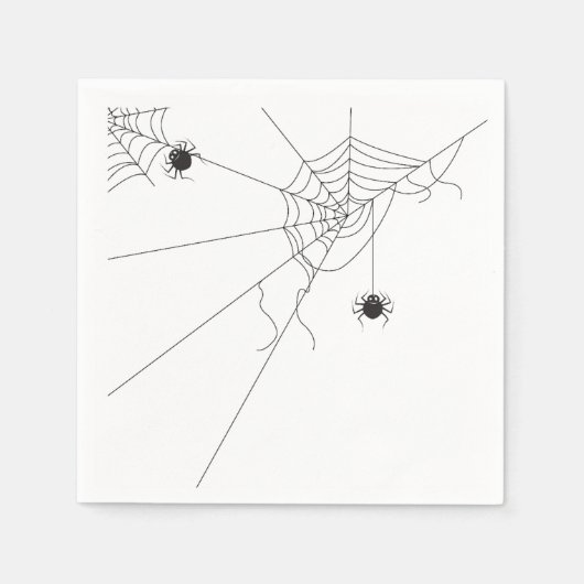spider web net servet (Voorkant)