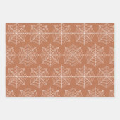 Spider Web Pattern Inpakpapier Vel (Voorkant)
