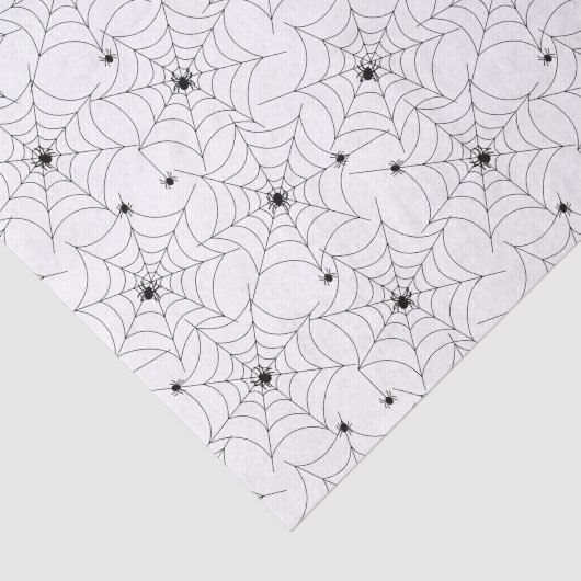 Spider Web Pattern over whitepapier Tissuepapier (Detail)