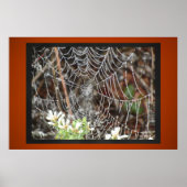 Spider Web Poster (Voorkant)