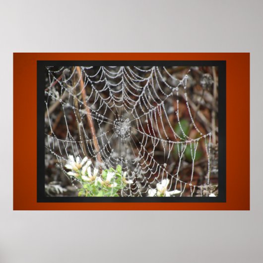 Spider Web Poster (Voorkant)