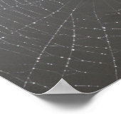 Spider Web Poster (Hoek)