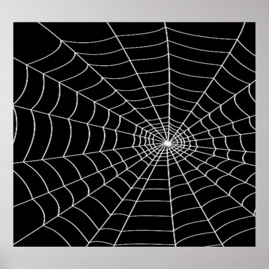 Spider Web Poster (Voorkant)