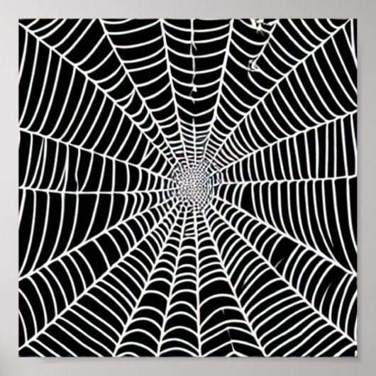 Spider Web Poster (Voorkant)