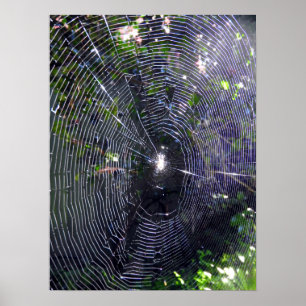 Spider Web Poster