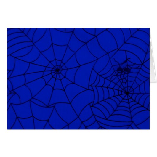 Spider Web, Spider Net, Cobweb, Spider, Insect (Voorkant Horizontaal)