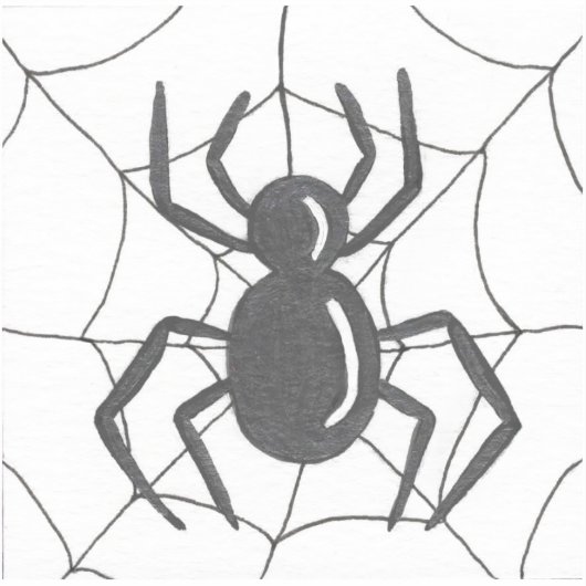 Spider Web Sticker (Voorkant)