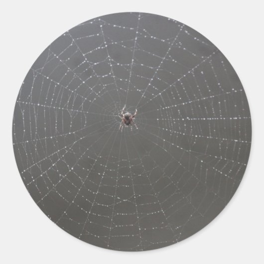 Spider Web Sticker (Voorkant)
