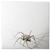 Spider Web Tegeltje (Voorkant)