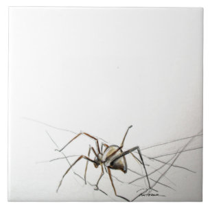 Spider Web Tegeltje