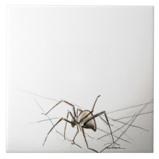 Spider Web Tegeltje (Voorkant)