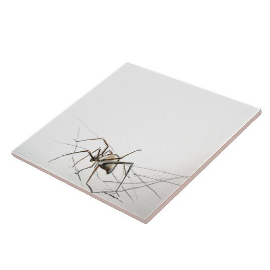 Spider Web Tegeltje (Zijkant)