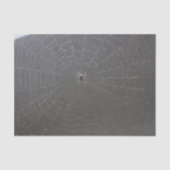 Spider Web Tissue Paper Tissuepapier (Voorkant)