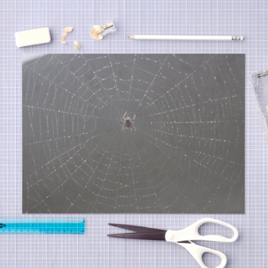 Spider Web Tissue Paper Tissuepapier (Craft)
