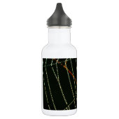 Spider Web Waterfles (Links)