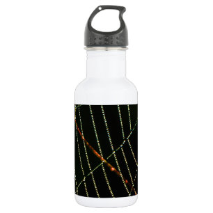 Spider Web Waterfles