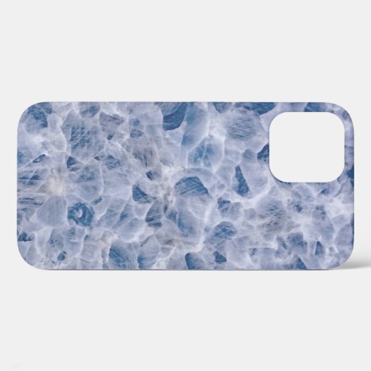 Spider-webpartij Case-Mate iPhone Case (Achterkant (horizontaal))