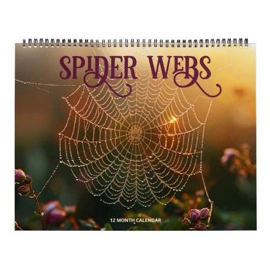 Spider Webs Kalender (Hoes)