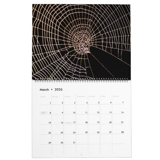 Spider Webs Kalender (Mar 2026)