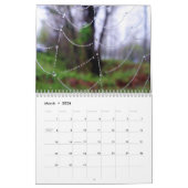 Spider Webs Wall Agenda Kalender (Mar 2026)
