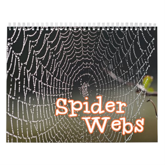 Spider Webs Wall Agenda Kalender (Hoes)