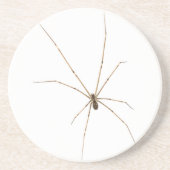 Spider Zandsteen Onderzetter (Voorkant)