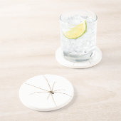 Spider Zandsteen Onderzetter (Zijkant)