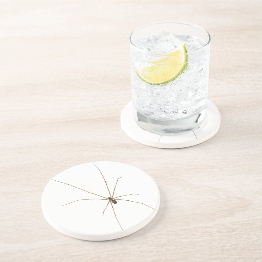 Spider Zandsteen Onderzetter (Zijkant)