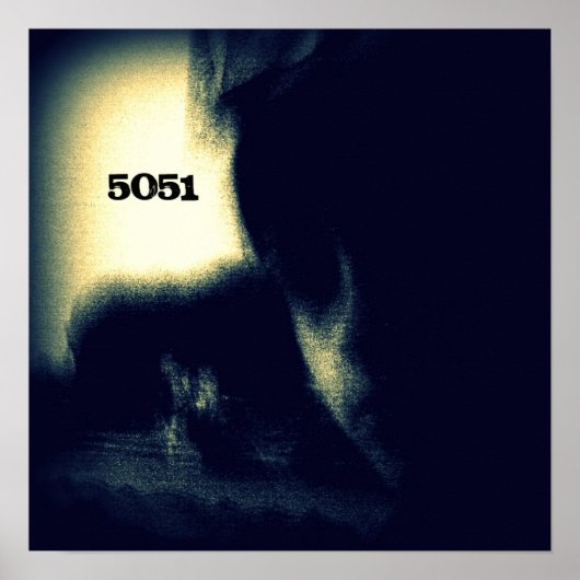 SPIDERintheHALL 5051 poster (Voorkant)