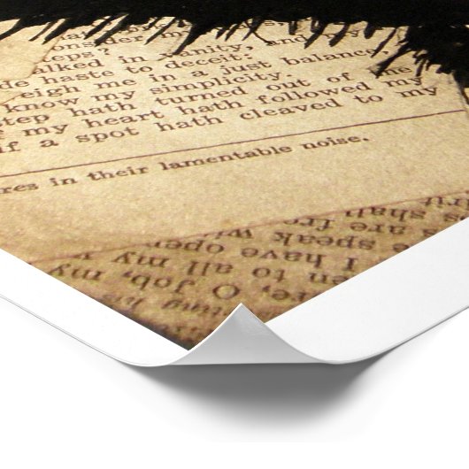 SpiderMonkey Poster (Hoek)