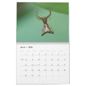 Spiders. Agenda Kalender (Mar 2026)